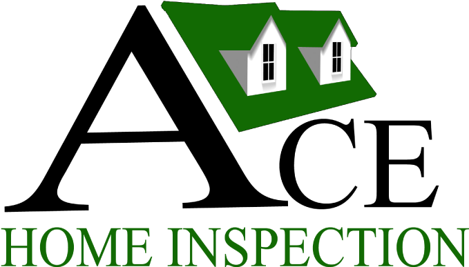 Ace Home Inspections - Dga Professional Institute Dwarka (696x400)