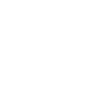 Termite Inspections - Termite (373x373)