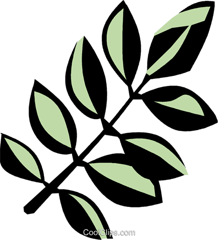 Black Locust Royalty Free Vector Clip Art Illustration - Black Locust Royalty Free Vector Clip Art Illustration (435x480)