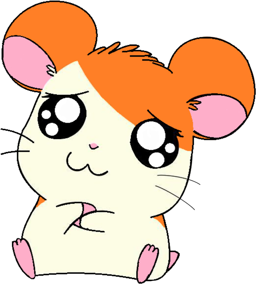 Coloring Book Animation Anime - Dibujos De Hamster Kawaiis (1024x973)