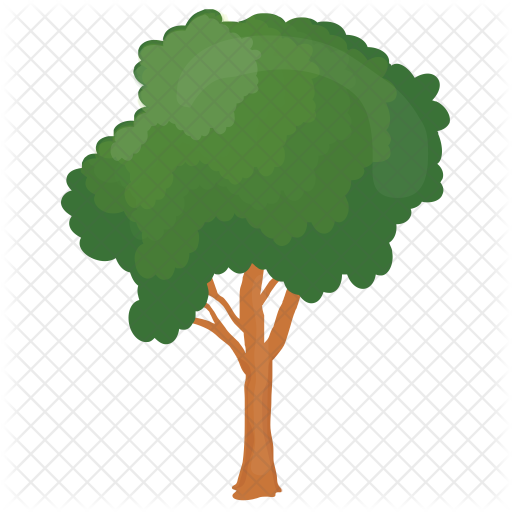 Honey Locust Png - Honey Locust (512x512)