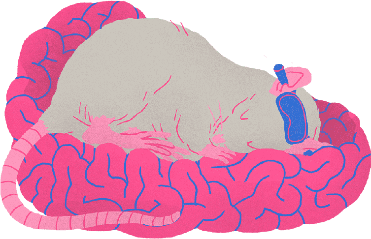 #tuesdaytopfive Tips For A Better Night's Sleep 42courses - #tuesdaytopfive Tips For A Better Night's Sleep 42courses (950x530)