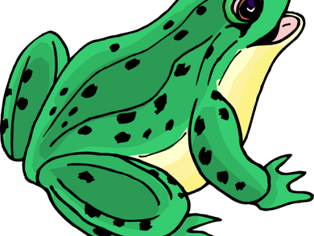 Toad Clipart Speckled Frog - Clipart Picture Of Frog (640x480)
