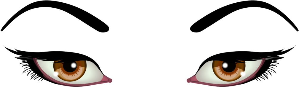 Female Eyes Brown Png Clip Art 2027 Clipart Animal - Cartoon Girl Eyes Png (1024x313)
