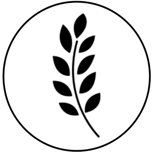 Computer Program (512x512)