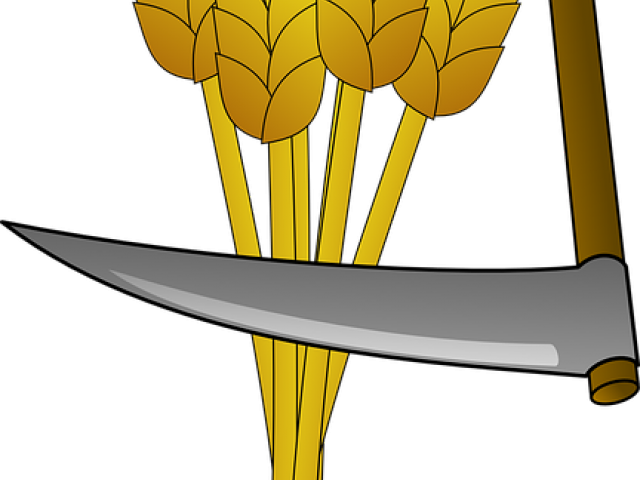 Harvest Clipart Wheat Harvest - Ernte Clipart (640x480)