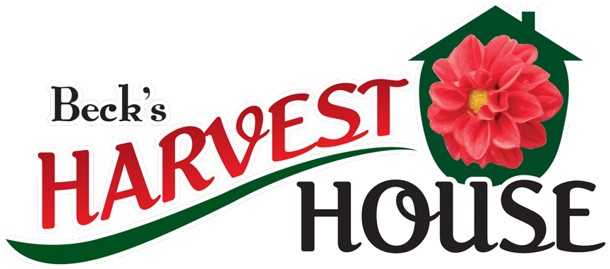 Harvest Clipart Brunch - Rozy'z Hot Shotz (1000x438)