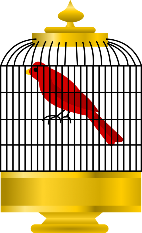 Bird,cell,golden Cage,gold,closed,red Bird,parrot, - Gambar Kandang Burung Kartun (500x817)