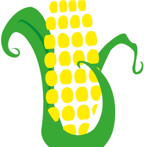 Harvest Clipart Corn Husk - Mazorca De Maiz Png (640x480)