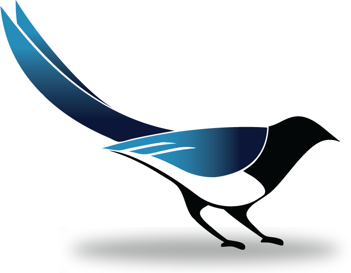 Magpie Clipart Transparent - Png Magpie (706x550)