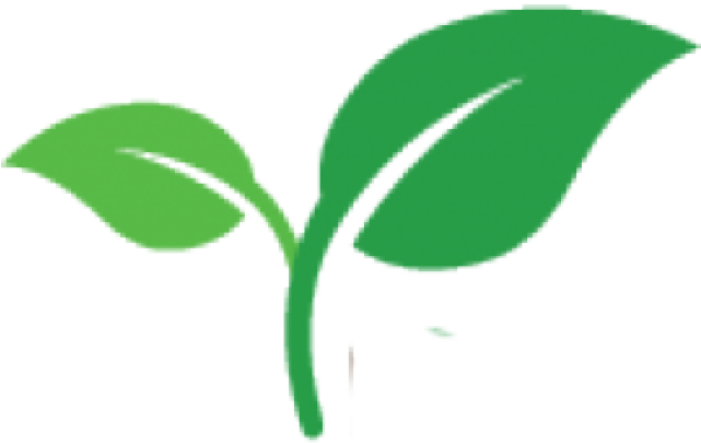 Seeds Clipart Plant Shoot - Plant Shoot Png (640x480)