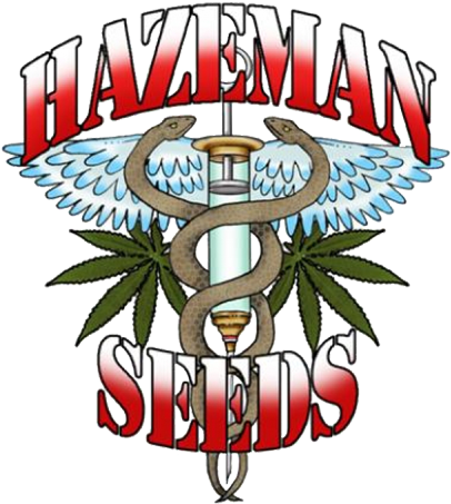 Hazeman Seeds Logo (500x500)
