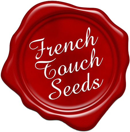 French Touch Seeds - Jesus, You Are Quite The Fellow (500x506)