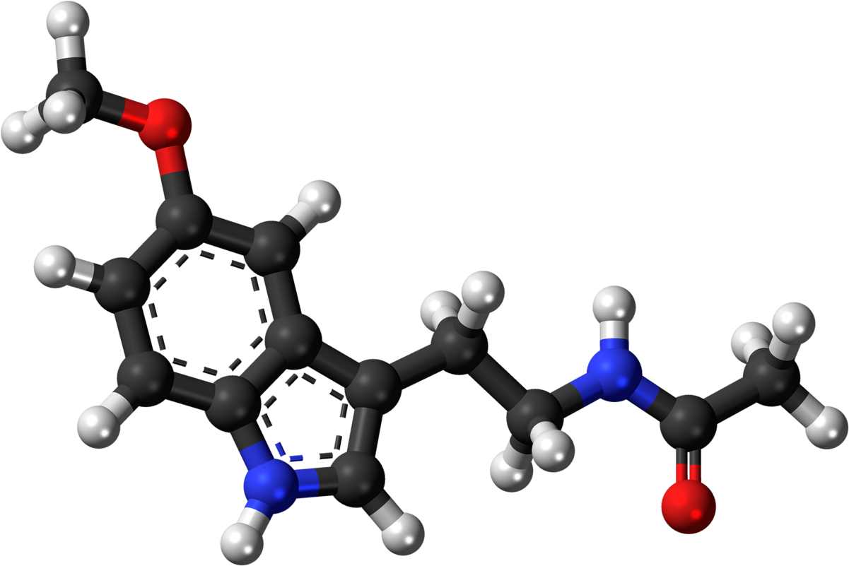 The Science Of Optimal Sleep - Amine Compounds (chemical Compounds) (1280x880)