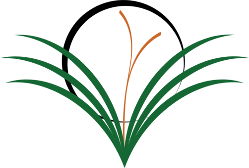 Drawing Weed Lawn Computer Icons String Trimmer - Weedsclipart (502x340)