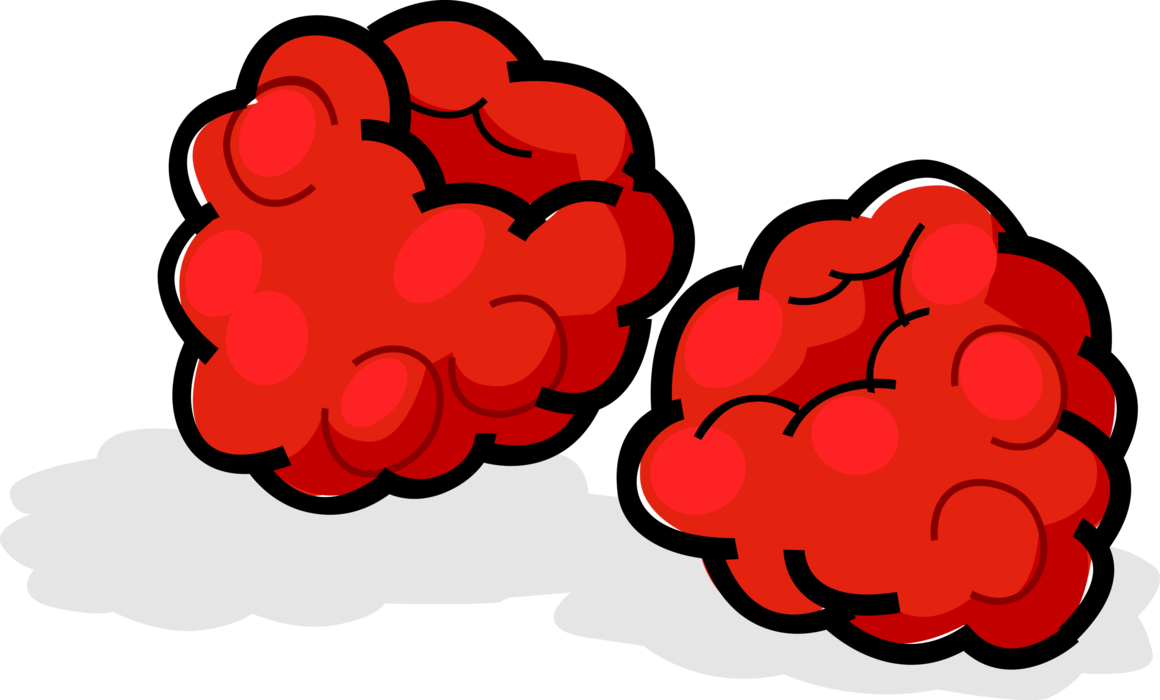 Raspberries Royalty Free Vector Clip Art Illustration - Raspberries Royalty Free Vector Clip Art Illustration (1160x700)
