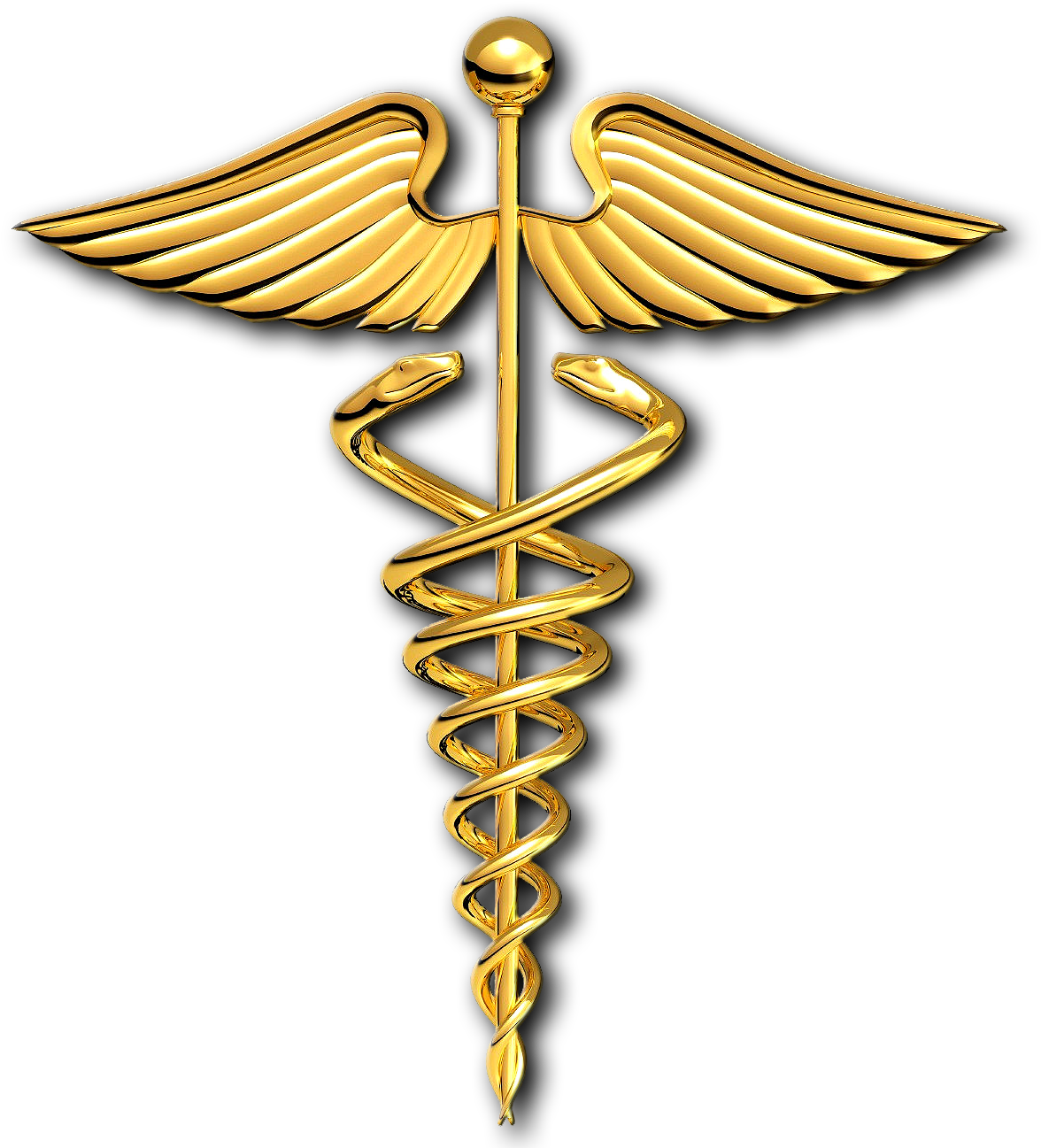 Of An Ancient And Superior Wisdom That Had Been Found - Medical Symbol Snake (1300x1318)