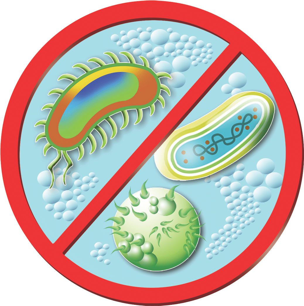 Area Rug College Station Tx In Plant - Не Трогайте Провода И Разъёмы (1064x1068)