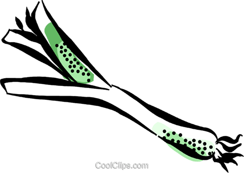 Okra Royalty Free Vector Clip Art Illustration - Okra Royalty Free Vector Clip Art Illustration (480x340)