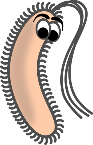 Funny Bacillus Science Fair, Prokaryote Cell, Biology, - Bacillus Clip Art (319x500)
