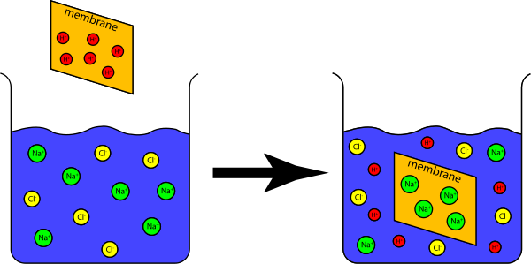 Ion Exchange Capacity Experiment Png Clip Arts For - Ion Exchange Capacity Experiment Png Clip Arts For (600x299)
