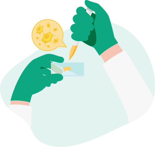 Used In Research Across The World, As They Are Able - Illustration (534x505)