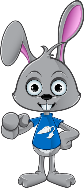 10 8 10 Cartoon Rabbit - Cartoon Pointing Forward (274x613)