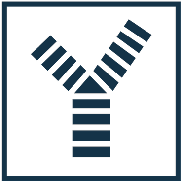 Youvent - South Korea (400x400)