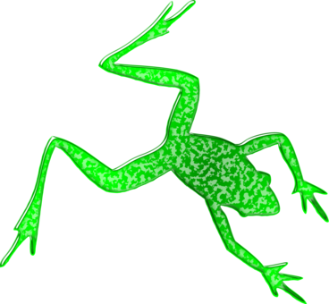 Tree Frog Animal Silhouettes - Rainforest Animals Silhouette (368x340)