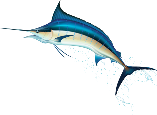 Swordfish Clipart Blue Marlin - Bill Fish Clip Art (640x480)