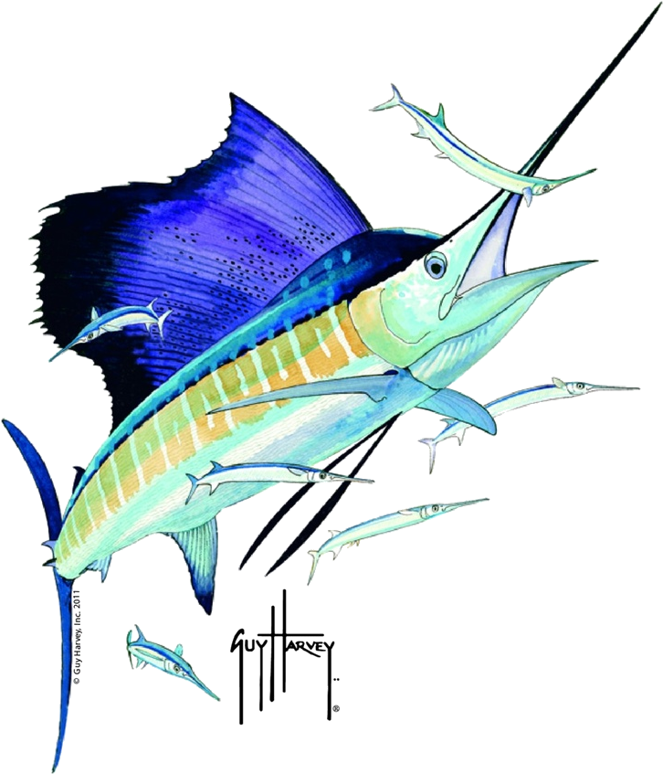 Sailfish - Guy Harvey Sailfish Art (800x860)