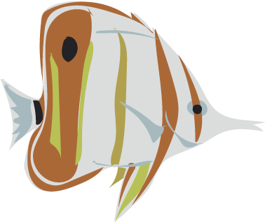 Its Fish Week On Inaturalist Feb - Illustration (400x400)