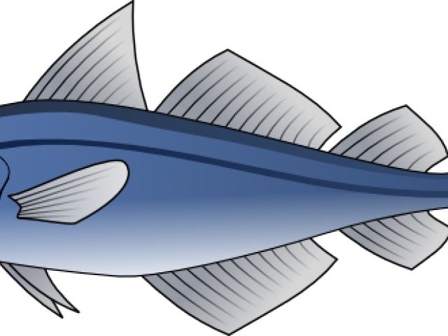 Sailfish Clipart Svg - Custom Blue Fish Shower Curtain (640x480)