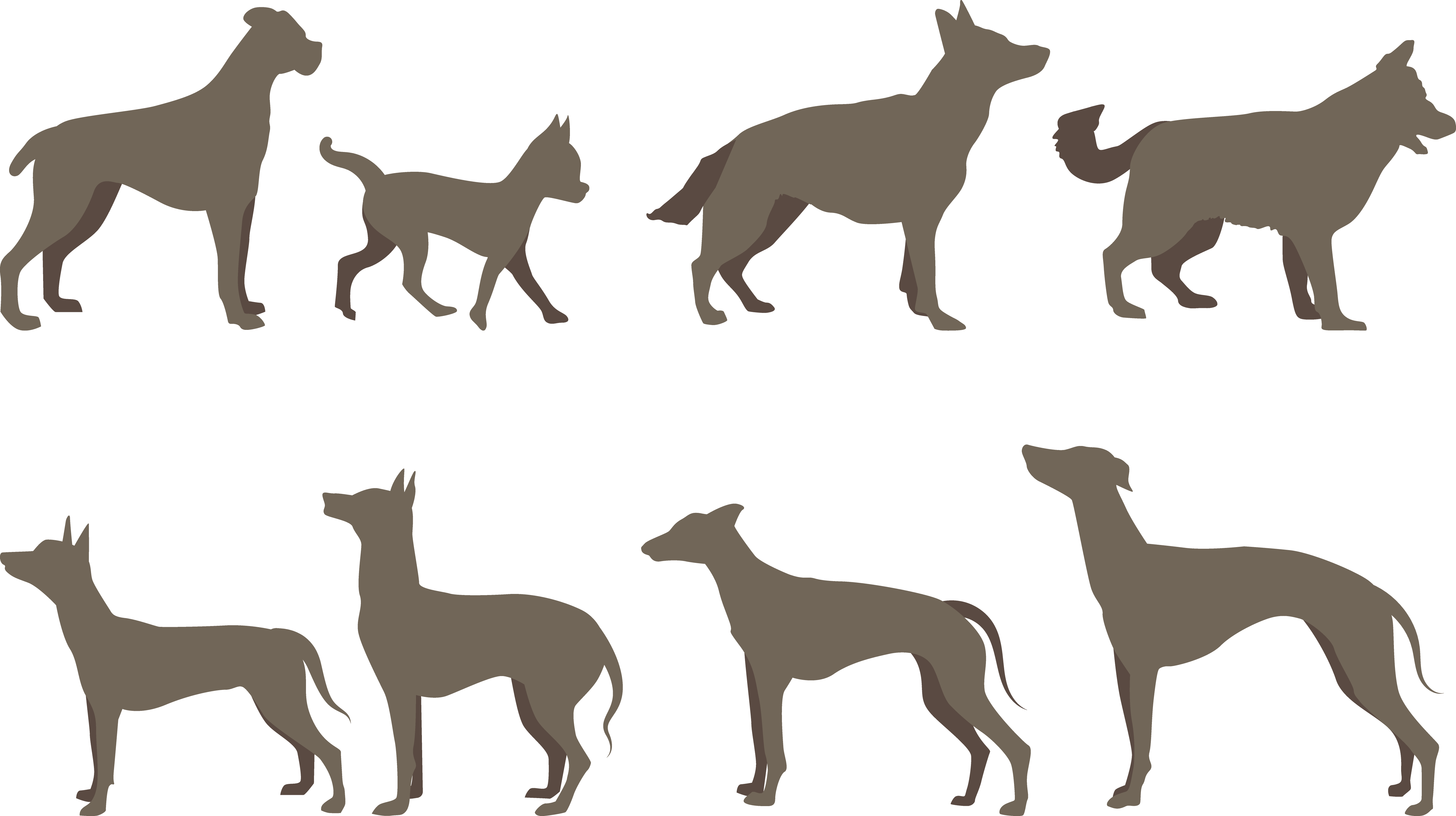 German Shepherd Silhouette Png - Brown German Shepherd (5439x3050)