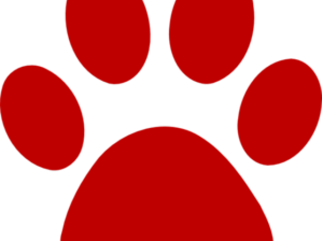 Paw Clipart - Clip Art (640x480)