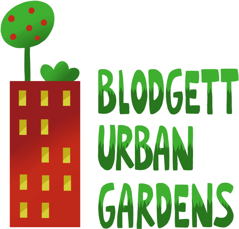 Sweet Potato Blodgett Urban - Blodgett Urban Gardens (1000x975)