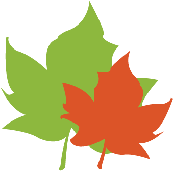 Leaf Pack Network® Is An Initiative Of Stroud™ Water - Maple Leaf (375x364)