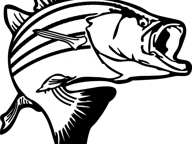 Fisherman Clipart Net Full Fish - Transparent Background Fishing Clipart (640x480)