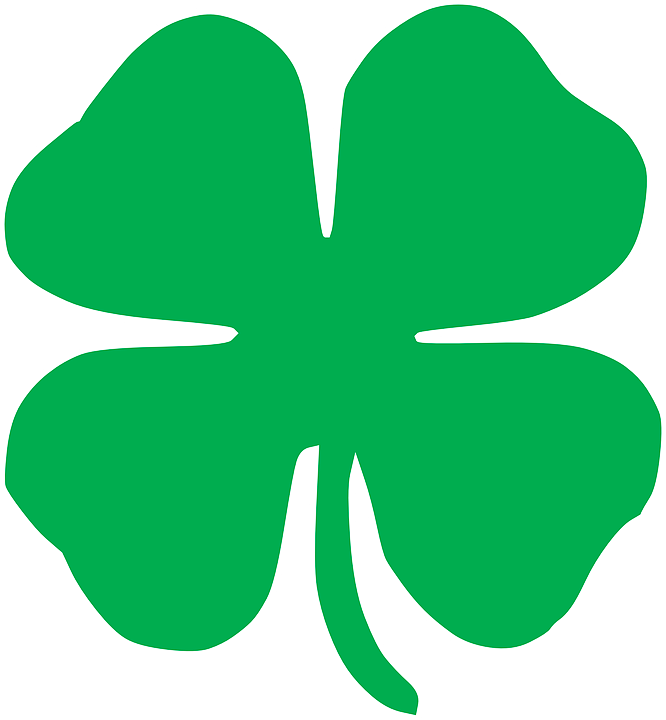 Shamrock - 4 Leaf Clover (666x720)