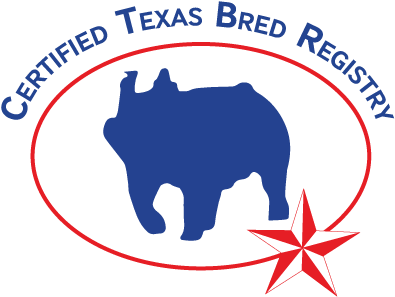 Image - Iso 9001 2008 Atr (416x331)