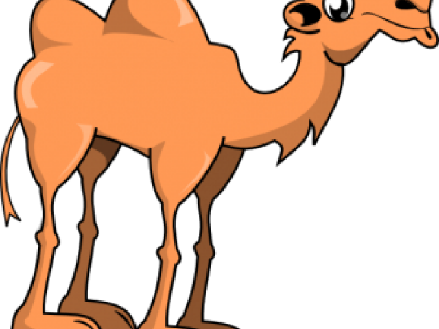 Cute Cartoon Camel (640x480)