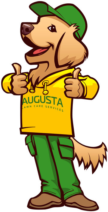 Augusta Lawn Care - Augusta Lawn Care Services (473x800)