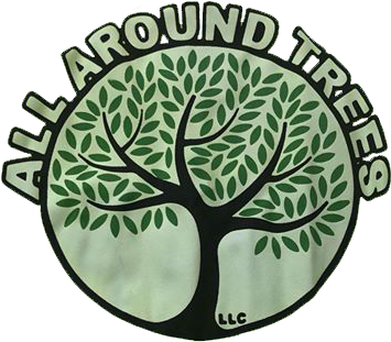 Follow - Foundations Of Mathematics By Ian Stewart (370x336)