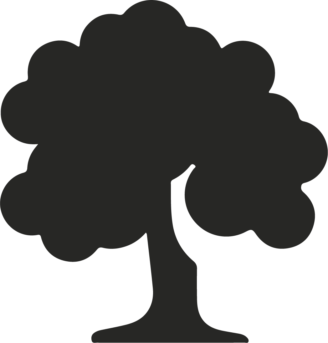 Tree Care - Tree Icon Png (1048x1096)