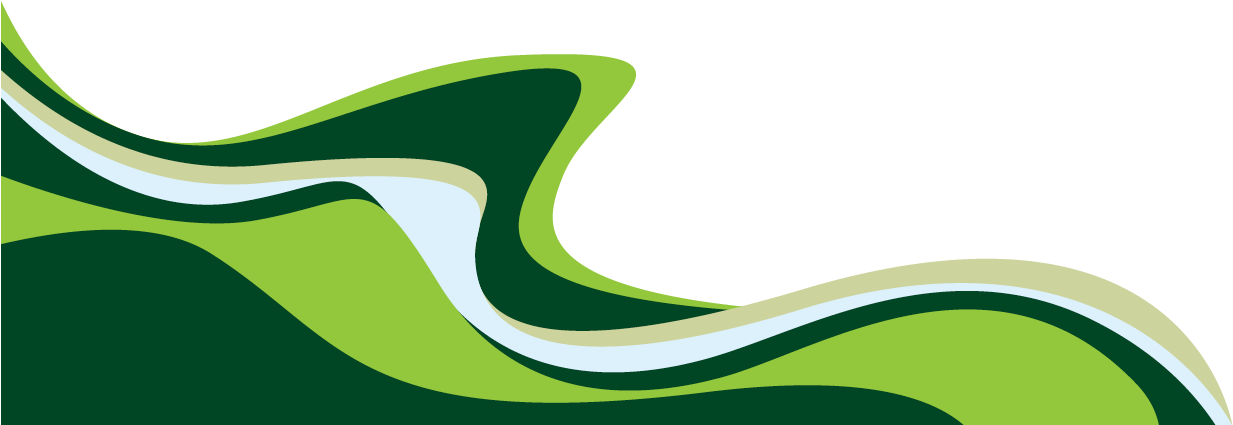 Aus Eco Landscape Supplies Taree Website Design - Logo (1291x702)