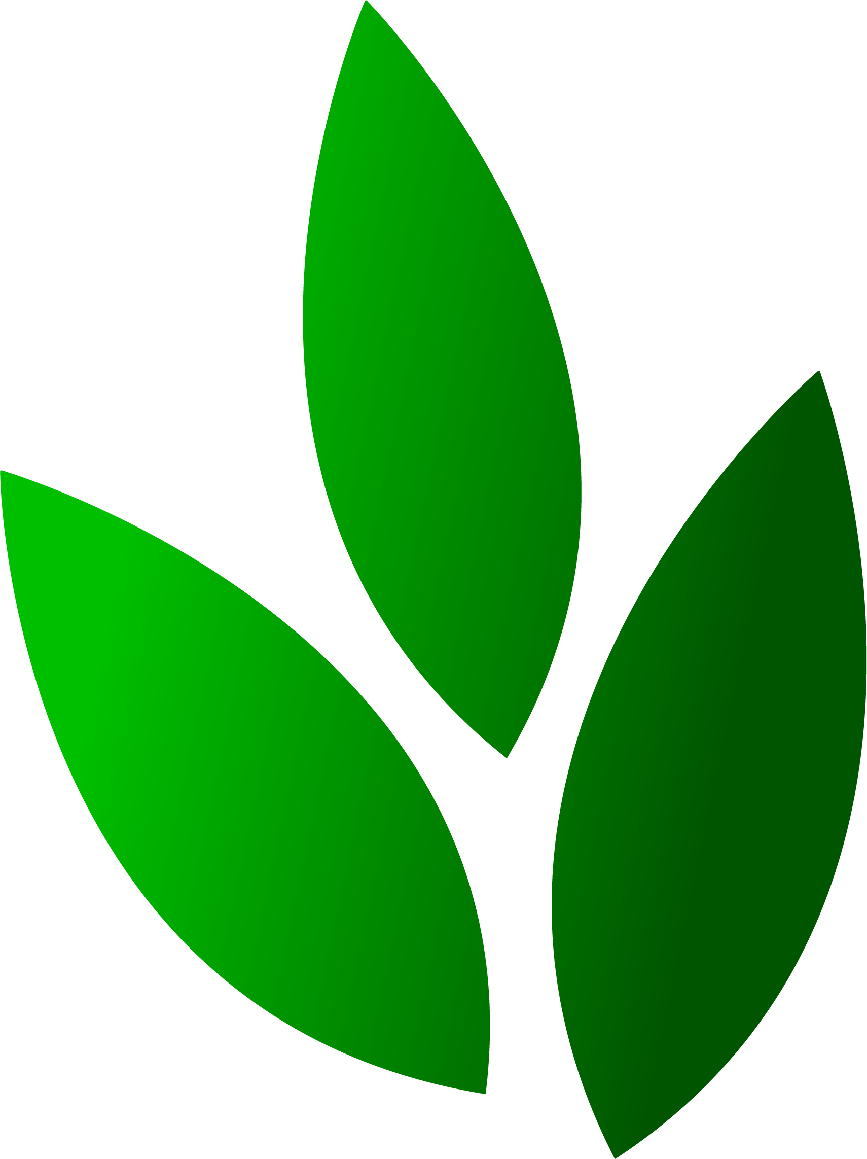 Springhill Landscaping Llc - Springhill Landscaping Llc (1710x2285)