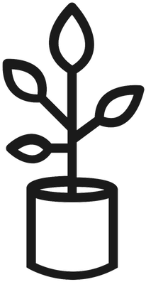 Whether It's Paying Attention To Hazardous Ornaments - Whether It's Paying Attention To Hazardous Ornaments (400x400)