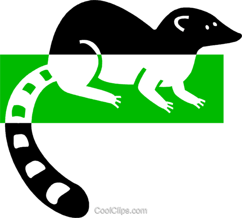 Lemur Royalty Free Vector Clip Art Illustration - Dog (480x433)