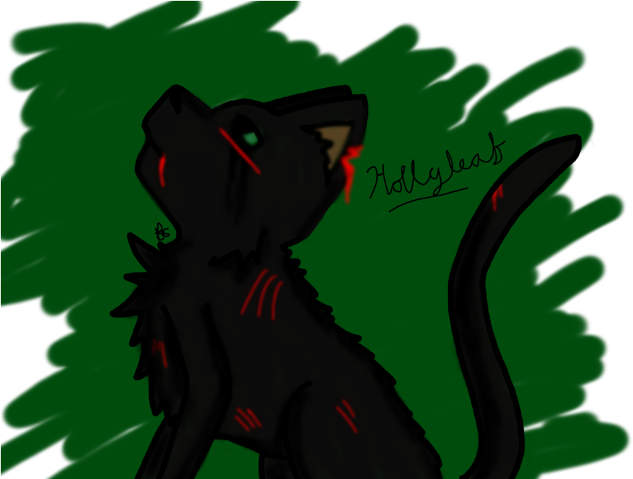 Why Can't Anything Ever Be Right~hollyleaf By Pieworld12 - Openclipart (900x675)