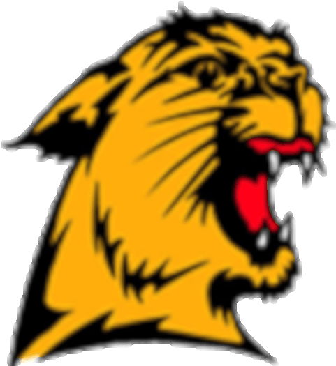 Jefferson High School - Jefferson High School Wv Mascot (720x738)